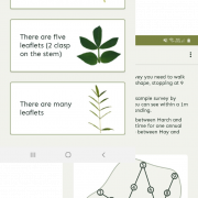 species id farm survey app Sward app ID key and field survey screenshot