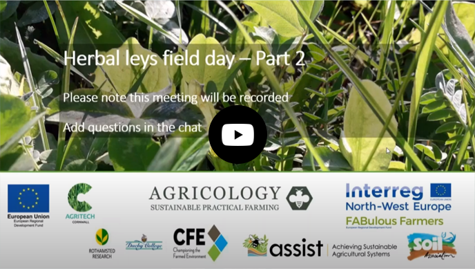 Virtual Field Day: Multispecies Leys part 2