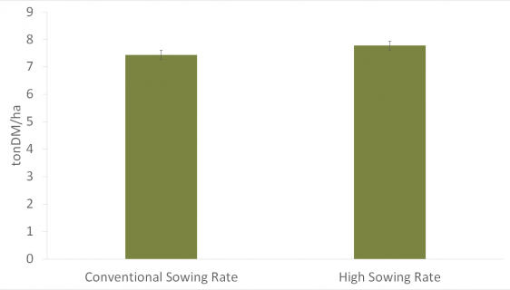 Total DM Yield 2019 SOWING RATE