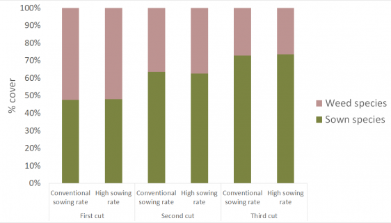 cover sowing rate